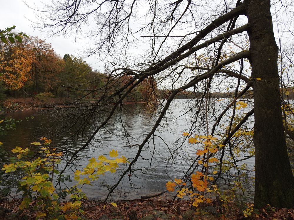 Herbststimmung am Wolfssee