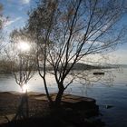 Herbststimmung am Zürichsee