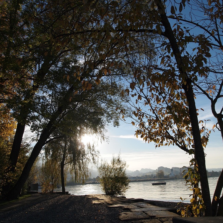 Herbststimmung am Zürisee