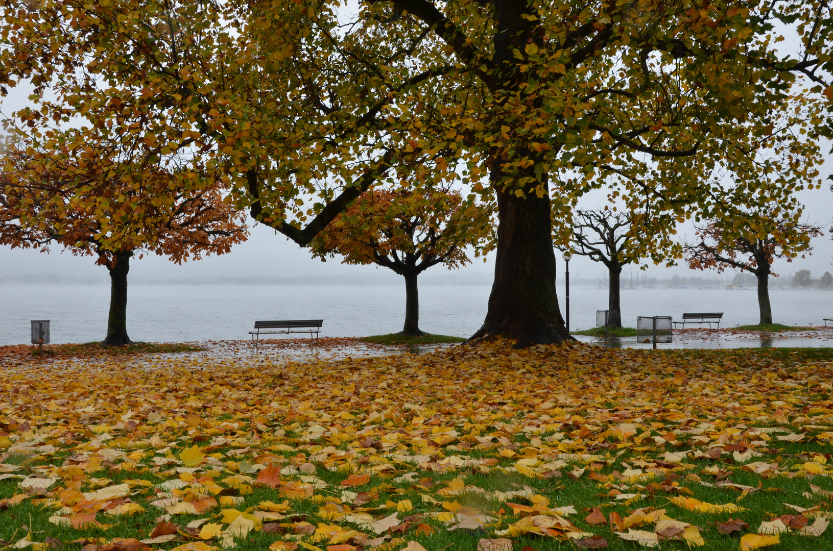 Herbststimmung am Zugersee