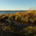 Herbststimmung Ammersee