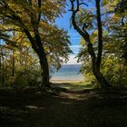 Herbststimmung Ammersee