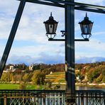 Herbststimmung an den Elbhängen