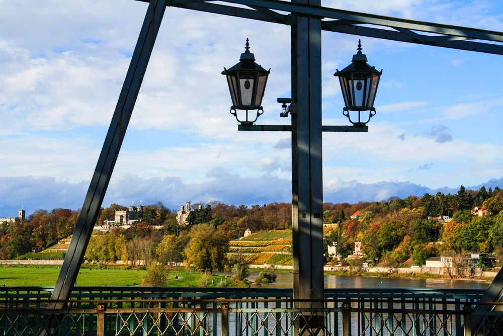 Herbststimmung an den Elbhängen