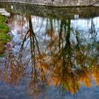 Herbststimmung an den Paderquellen