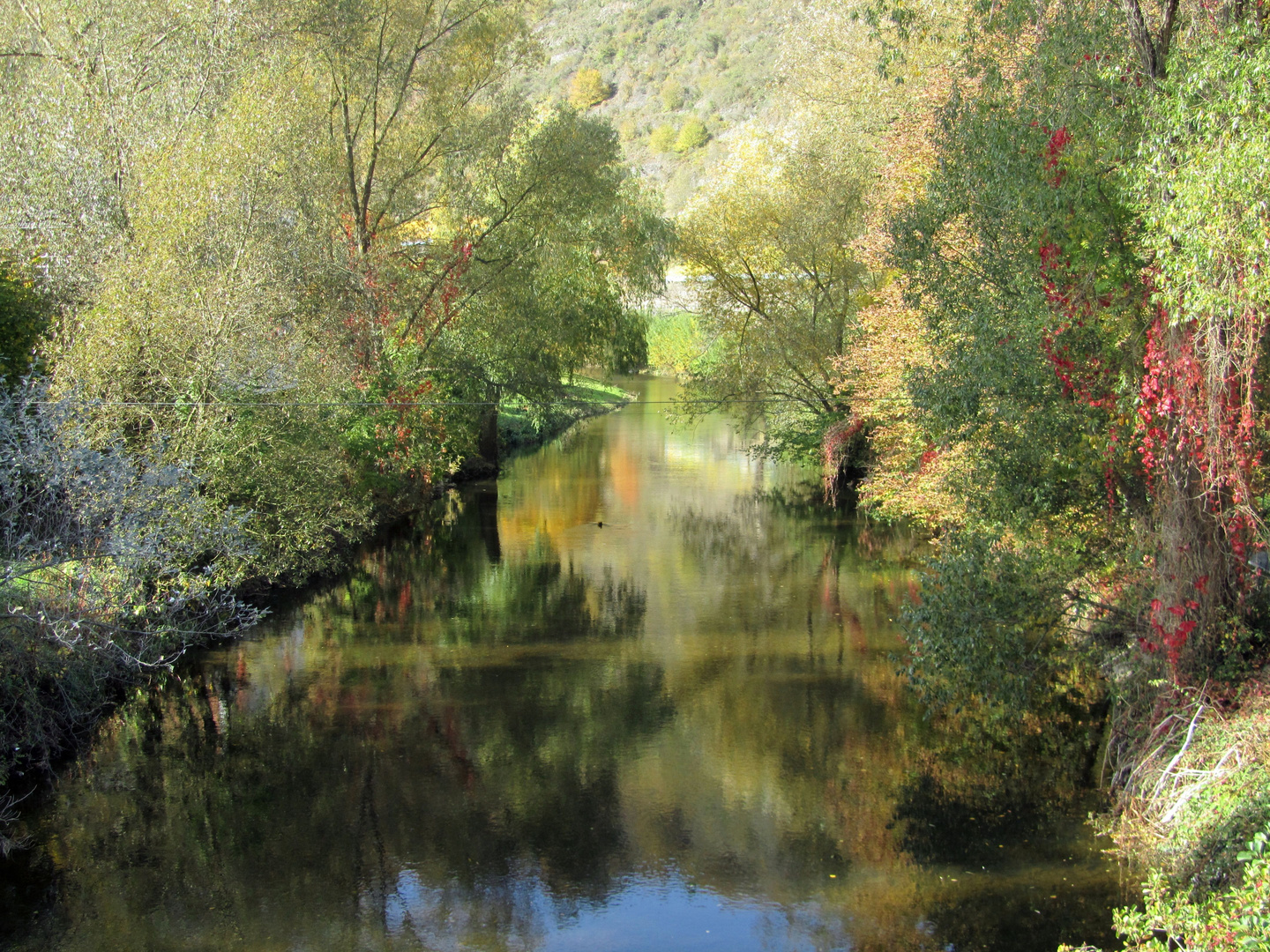 Herbststimmung an der Ahr