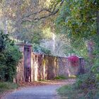 Herbststimmung an der  alten Mauer   (reload)