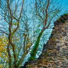 Herbststimmung an der Burg