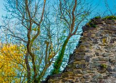 Herbststimmung an der Burg