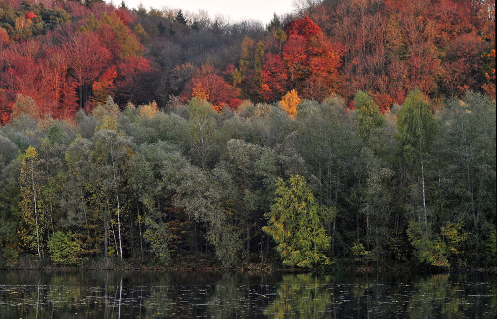 Herbststimmung an der Gretlmühle II