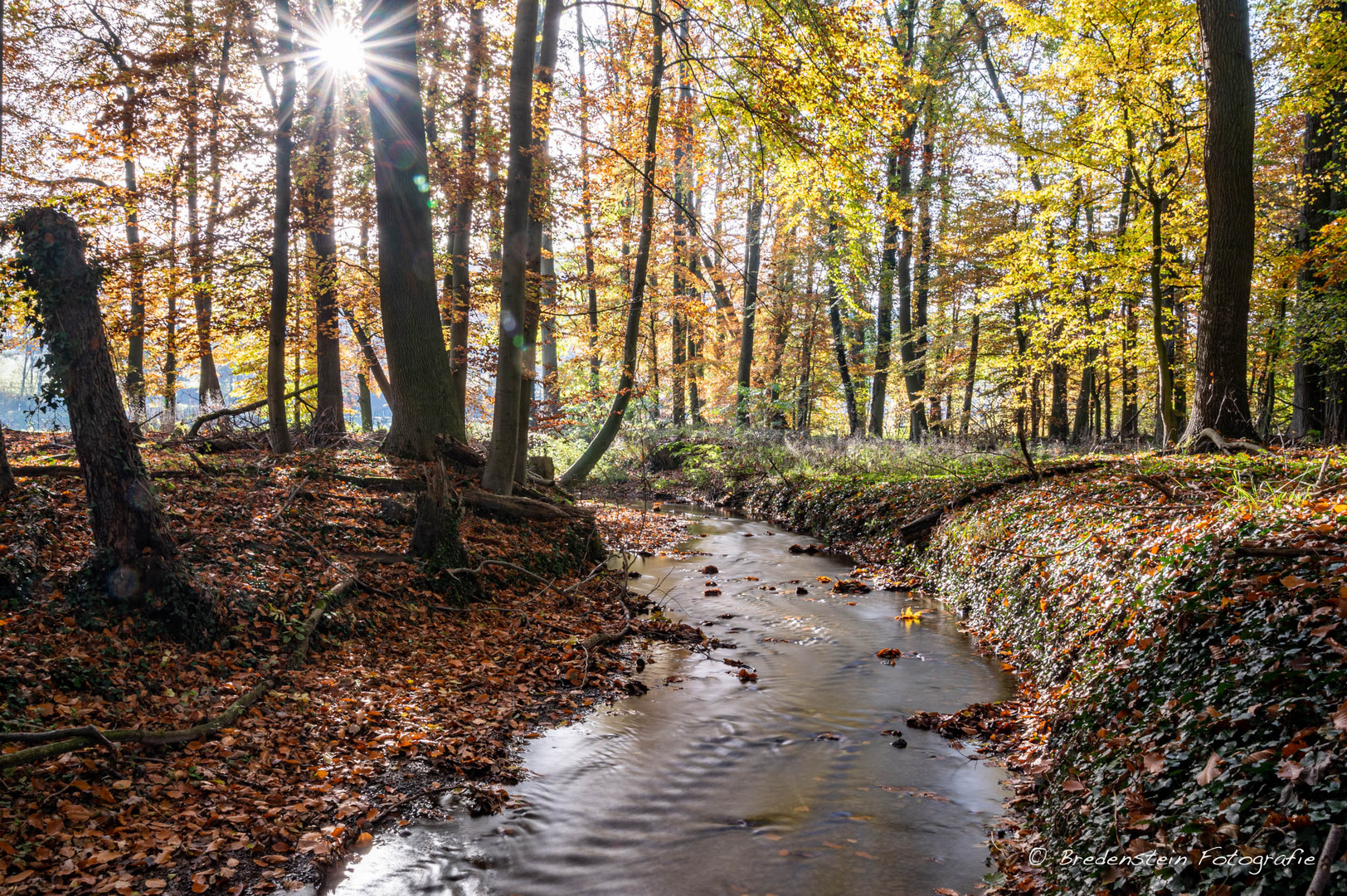 Herbststimmung an der Hase