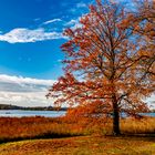 Herbststimmung an der Havel