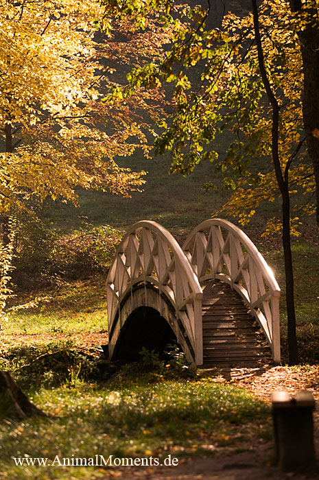 Herbststimmung an der Herderbrücke