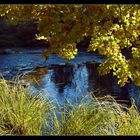 Herbststimmung an der Ilz bei Passau