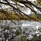 Herbststimmung an der Lahn