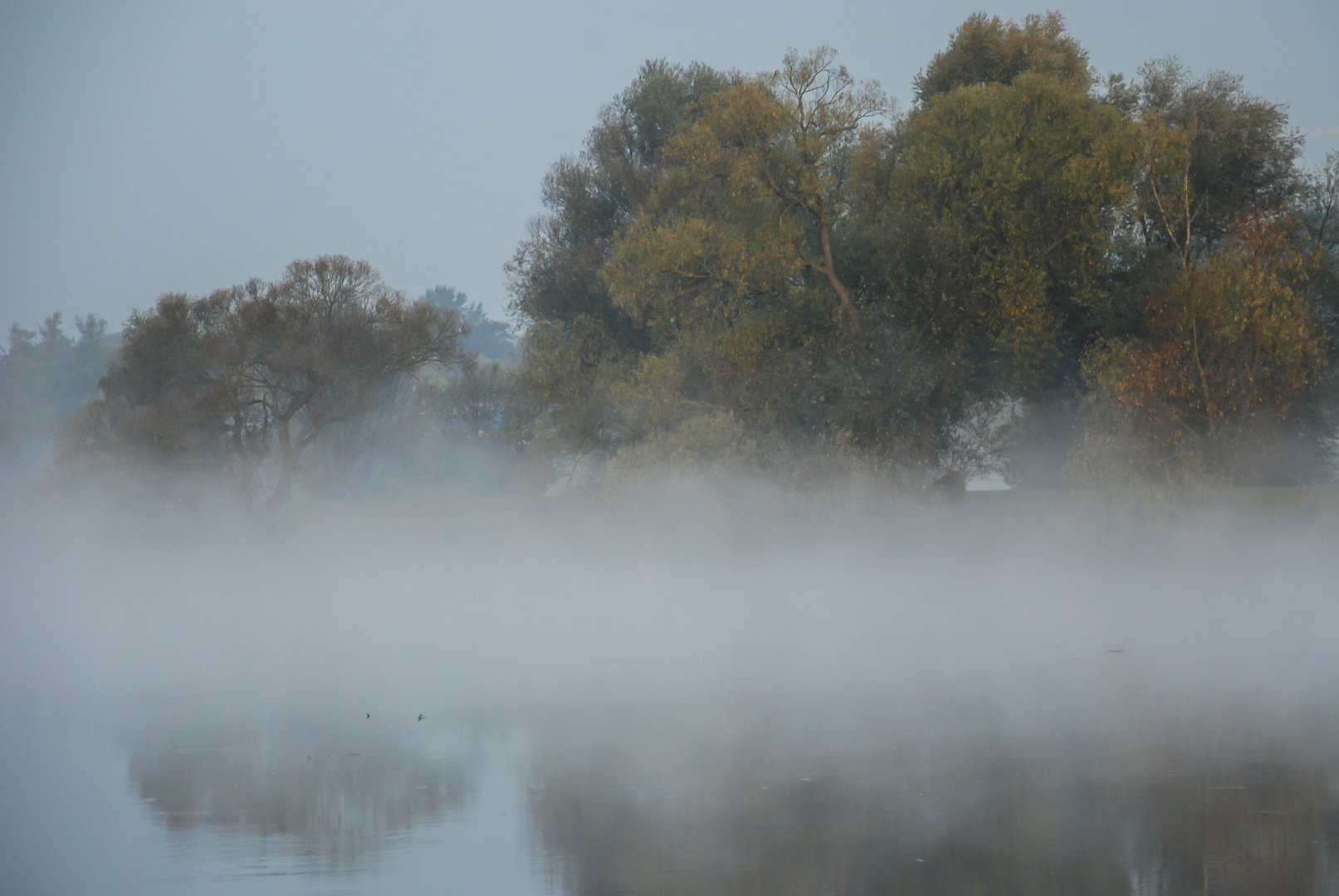 Herbststimmung an der Lesum