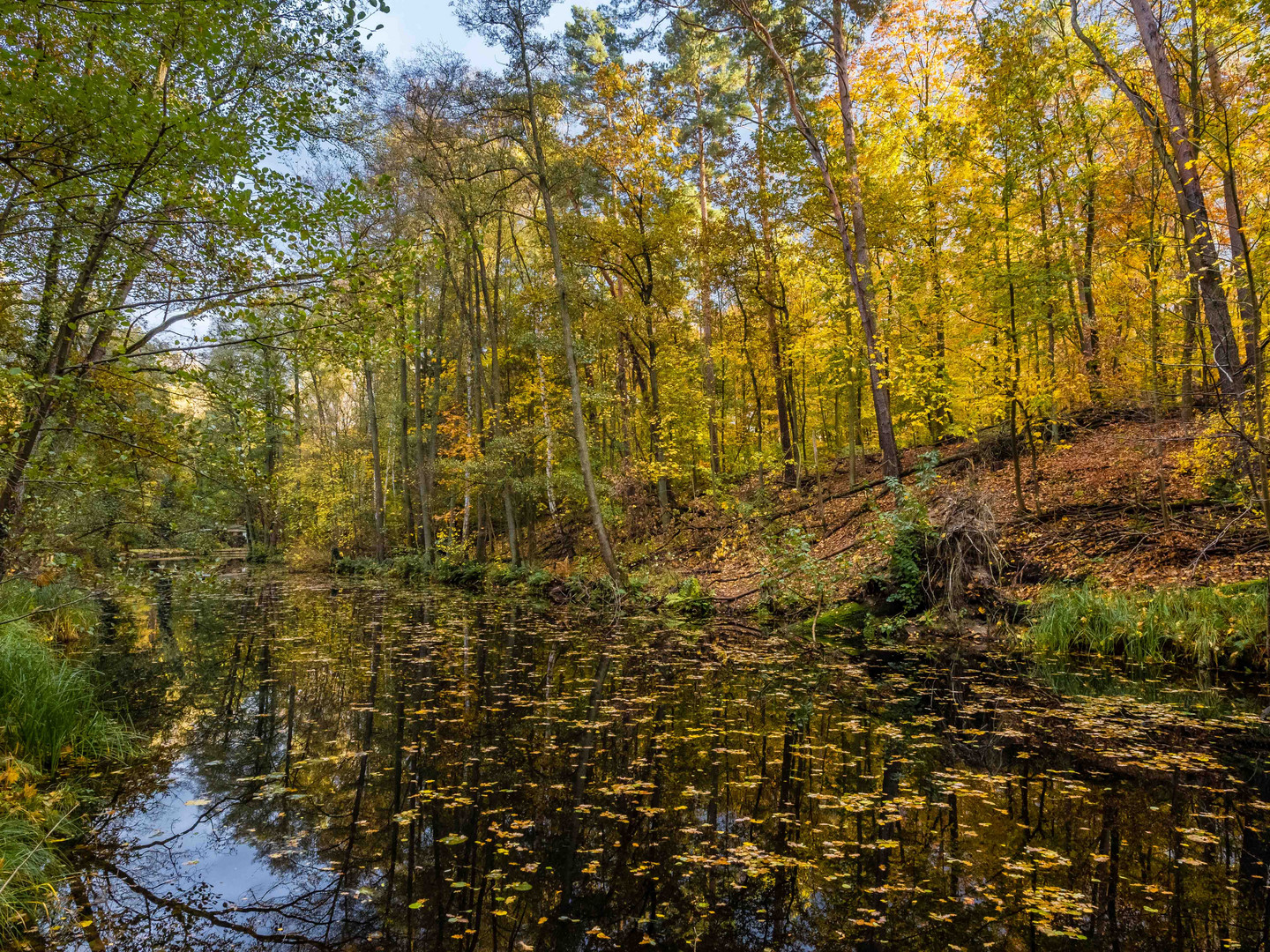 Herbststimmung an der Löcknitz1