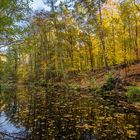 Herbststimmung an der Löcknitz1