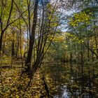 Herbststimmung an der Löcknitz2