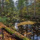 Herbststimmung an der Löcknitz3