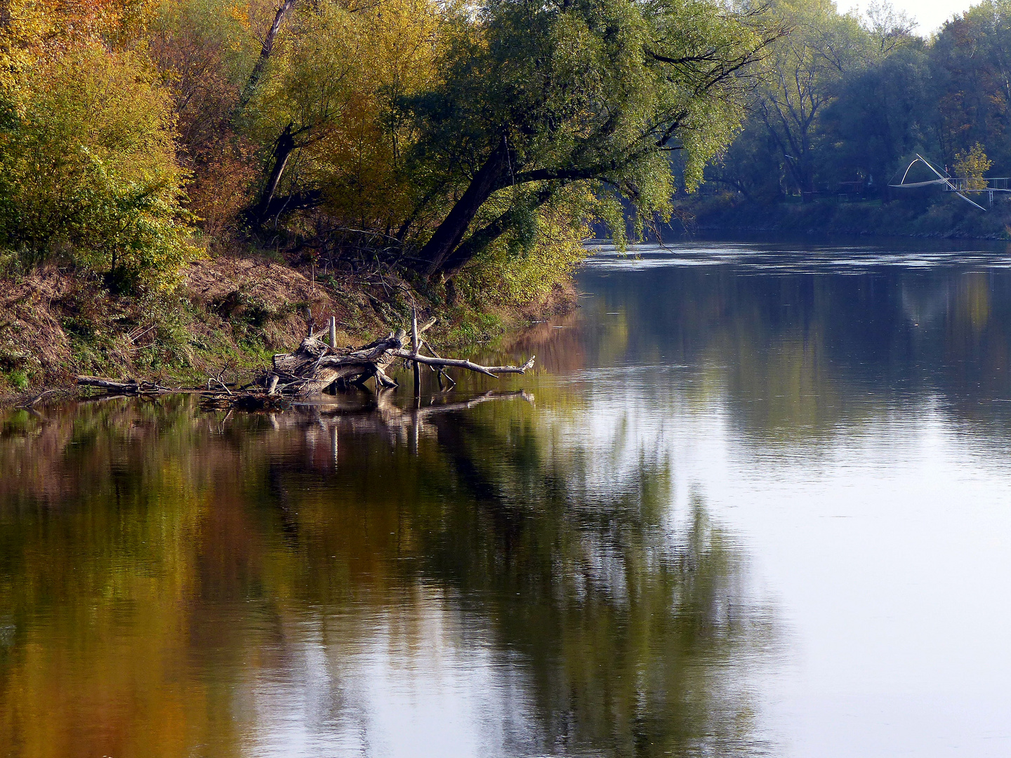 Herbststimmung an der March