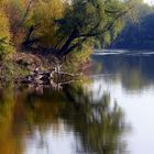 Herbststimmung an der March