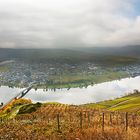 Herbststimmung an der Mosel