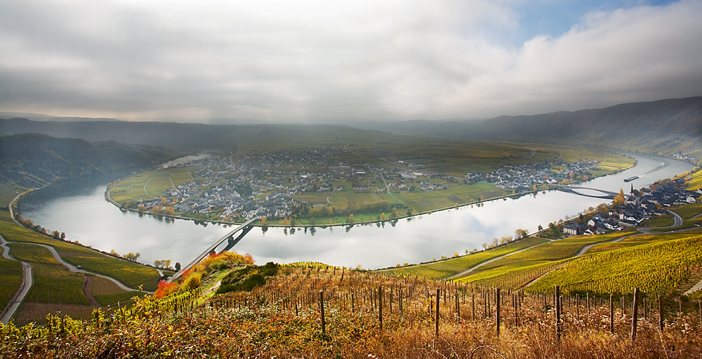 Herbststimmung an der Mosel