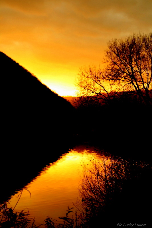 Herbststimmung an der Mosel