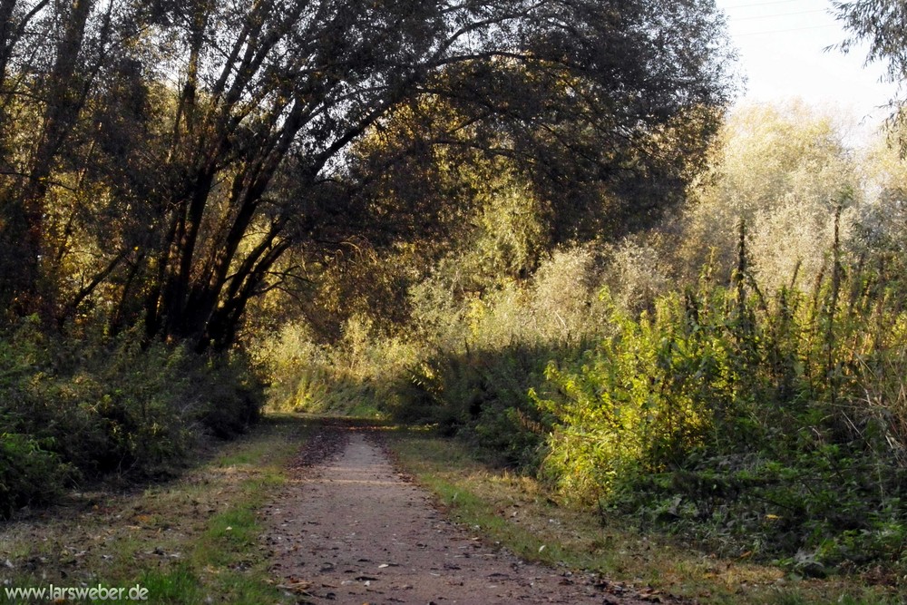 Herbststimmung an der Mulde