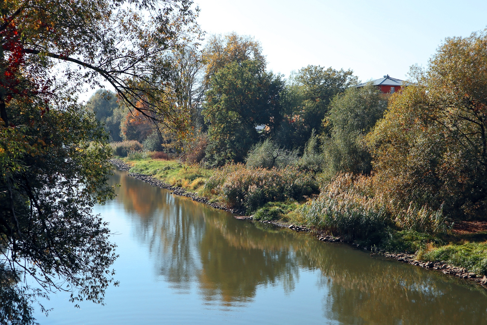 Herbststimmung an der Oder