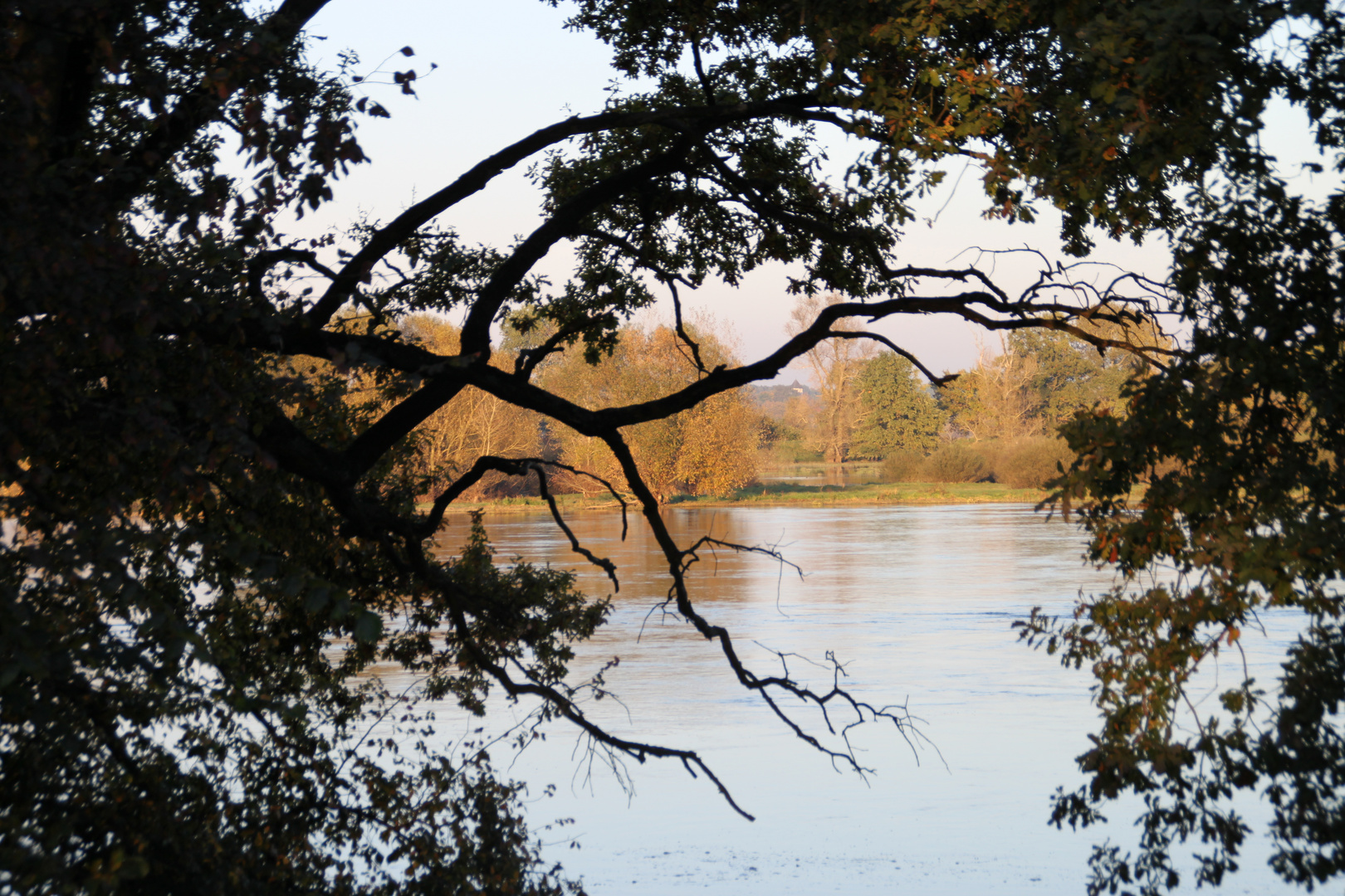 Herbststimmung an der Oder