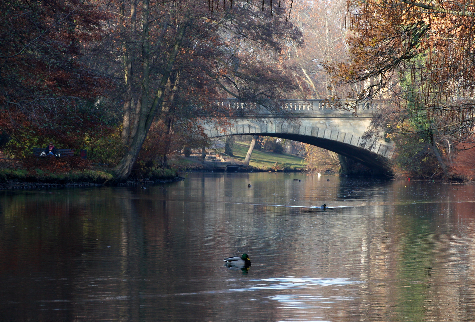 Herbststimmung an der Oker