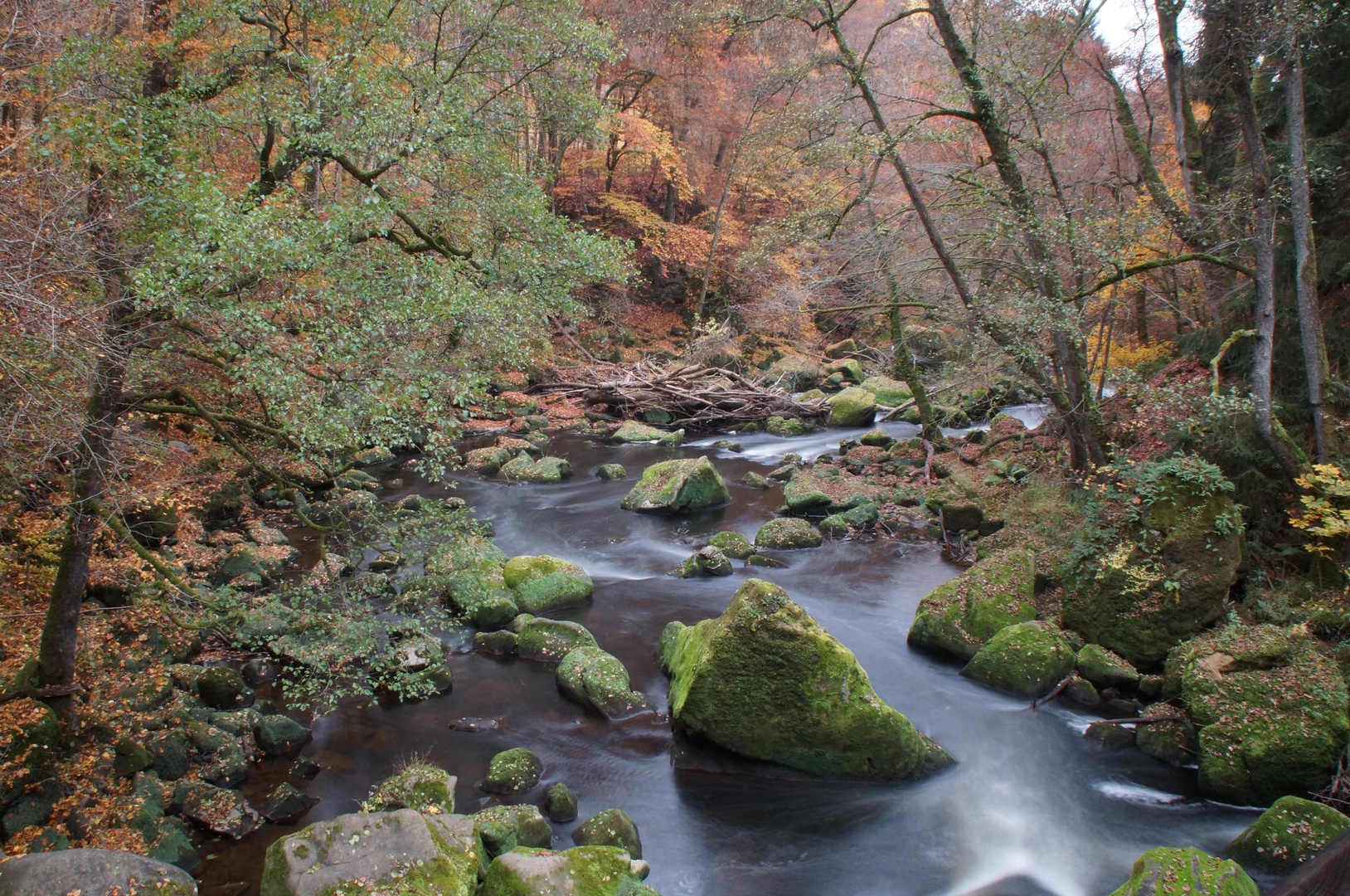 Herbststimmung an der Prüm