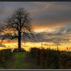 Herbststimmung an der Reuther Linde