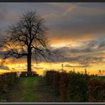 Herbststimmung an der Reuther Linde