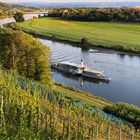 Herbststimmung an der sächsischen Weinstraße