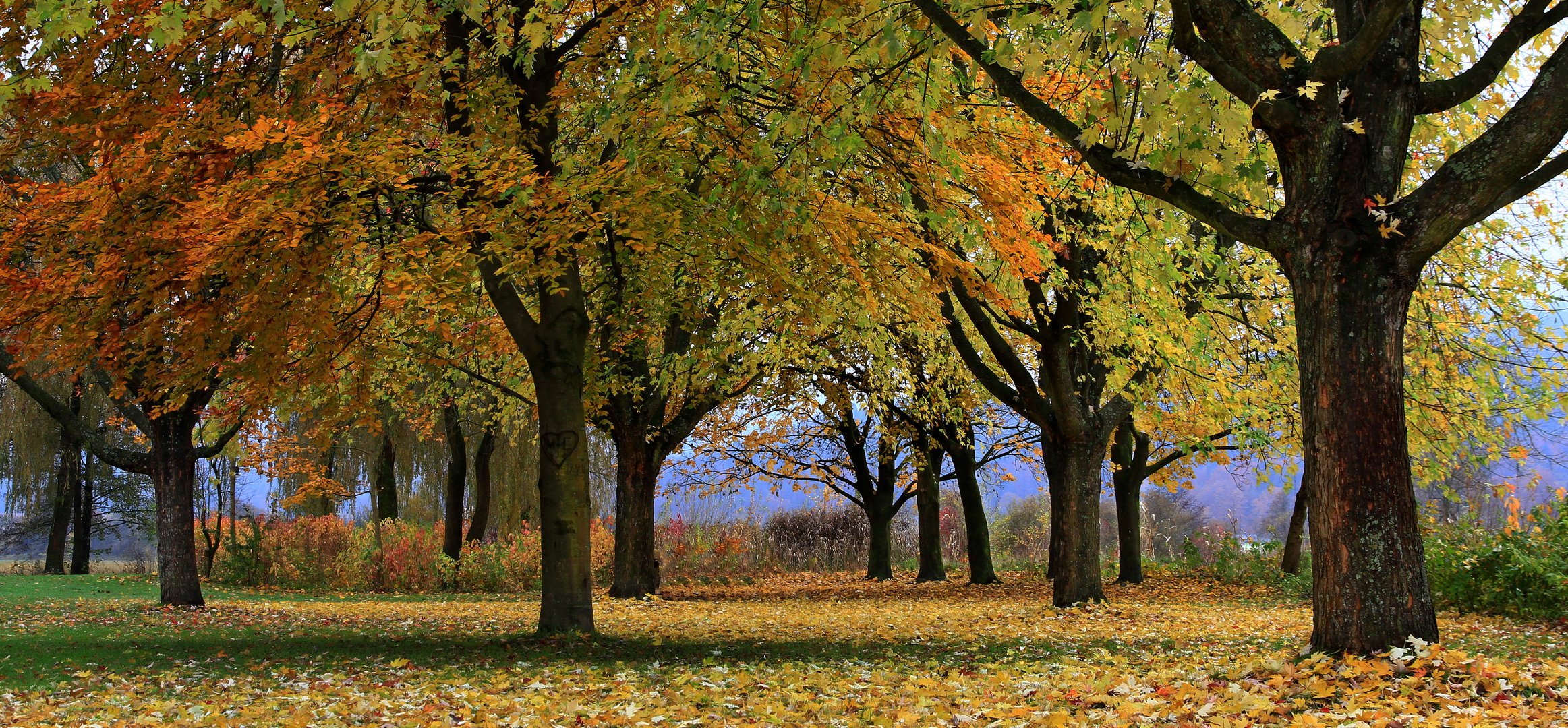 Herbststimmung an der Sattnitz    Klagenfurt am Wörthersee   Kärnten