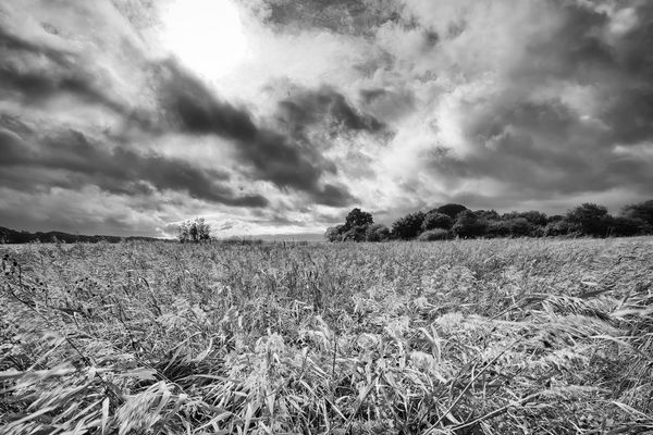 Herbststimmung an der Schlei.
