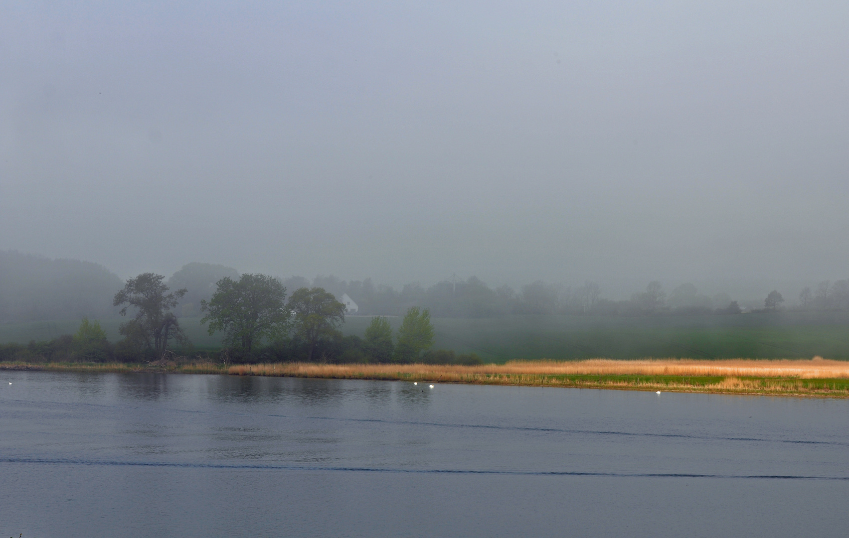 Herbststimmung an der Schlei