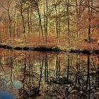 Herbststimmung an der Stever