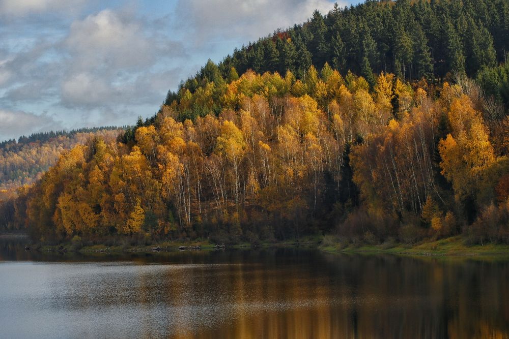 Herbststimmung an der Talsperre Rauschenbach im Erzgebirge