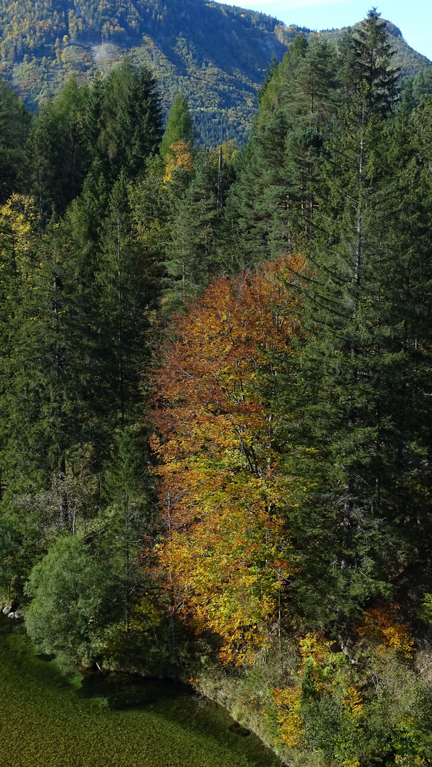 Herbststimmung an der Teichel