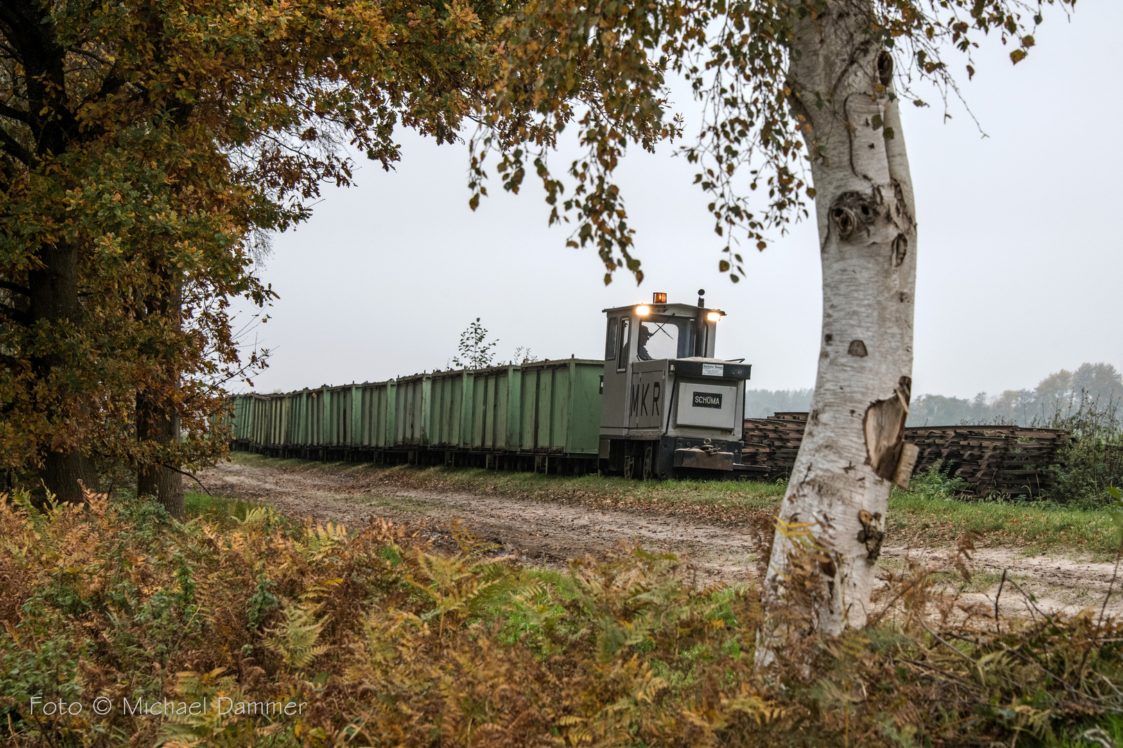 Herbststimmung an der Torfbahn 