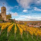 Herbststimmung an der Wachtenburg