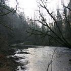 Herbststimmung an der Wutach