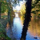 Herbststimmung (Anfang November) 