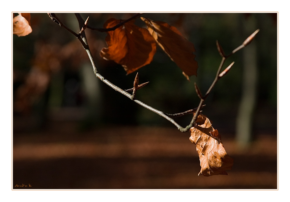 Herbststimmung auch auf dem Friedhof