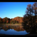 Herbststimmung auch im Taunus