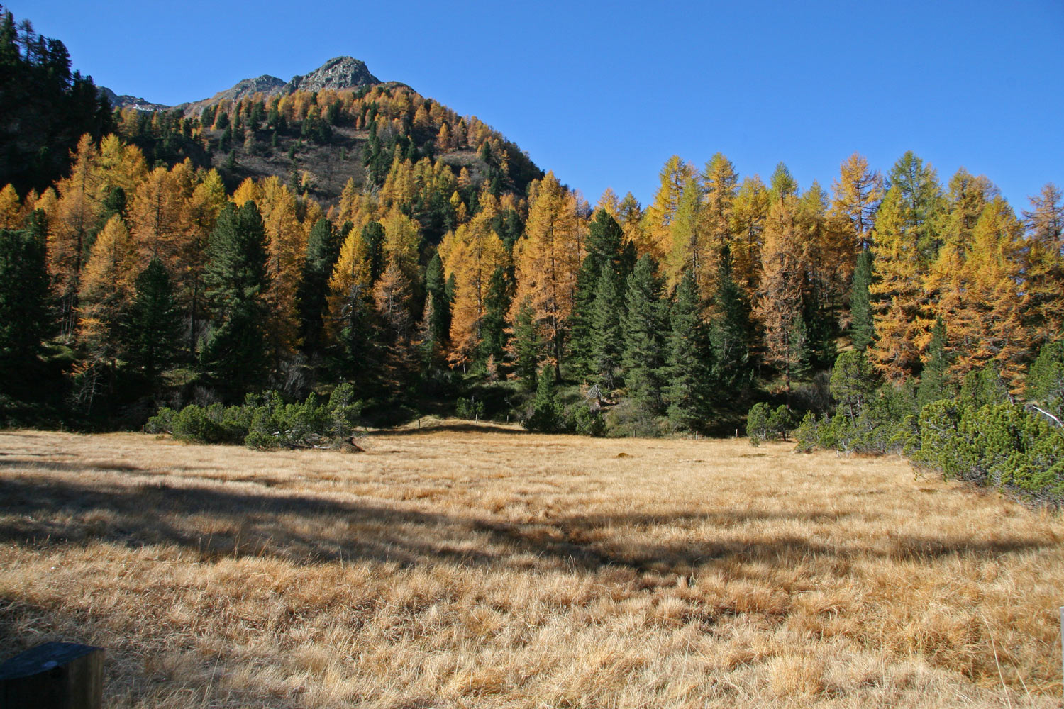 Herbststimmung auf 2000müM im Engadin